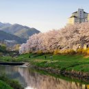 양재천 수변무대3 이미지