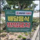 (주)그린랜드 | 영암 그린랜드 수영장 취사 가능한 전남 물놀이장