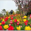 피나클랜드 이미지