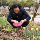 대아주유소 이미지