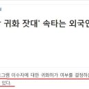 영진행정사사무소 이미지