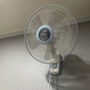 델루와 | 망상 해수욕장 드루와 델루와 호텔 후기