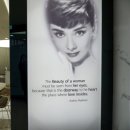 제이영의원 이미지