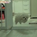 알프스프라임 | [대구 읍내동] 동네 빵집 생겼다!!! "알프스제과점" 후기 주차 오픈행사