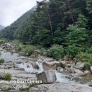 수도산민박