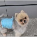 보담동물병원 이미지