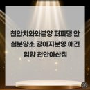 퍼피댕 안심분양소 강아지분양 애견입양 천안아산점 | 천안치와와분양 퍼피댕 안심분양소 강아지분양 애견입양 천안아산점 소중한 인연 시작