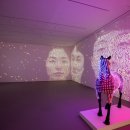 아트랩위아 매일경제