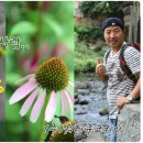 워터큐코리아 이미지