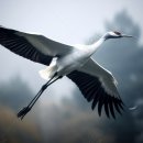 (Ost-모래시계):Cranes (백학) -체첸 공화국 민요 이미지