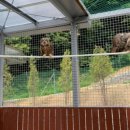 경기도 야생동물 구조관리센터 이미지