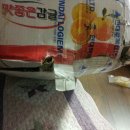 현대택배 이미지