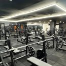 제이엘피트니스 영통점 이미지