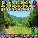 여주-0630 네이버블로그