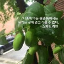 글쓰기책쓰기 - (192) 글쓰기는 충만한 경험이자 힐링이다/ 브랜딩 글쓰기연구소 대표 이창미 이미지