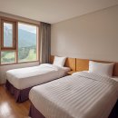 소노캄 델피노C 이미지