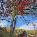 산촌옥관로 이미지