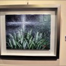 가톨릭대학교 성빈센트병원 이미지