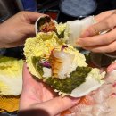 [울산 달동 맛집] ‘대어’숙성회 내돈내산 솔직후기