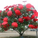 우산공원 주차장 이미지