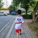 충무태권도체육관 | [일상] 2024년 2차 국기원 승품 심사대회 후기 ft.대전 충무실내체육관 1품심사