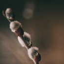 밝은유리