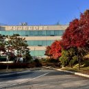 AK 골프클럽 | AK골프 기흥점 득템한 핑 G440 풀세팅 분당 그린피아 연습장 첫만남 후기