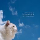마론도리스(Marondollis) 이미지
