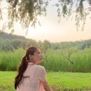 잇터 ITER 여자 반팔 가디건 여름 데일리룩 2