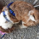 학마을캠프장 이미지