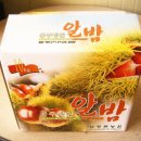 늘밤농원 이미지