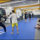 라텔 주짓수,복싱 강서 | 다이어트+스트레스 해소까지 목동주짓수 복싱 수업 솔직 후기