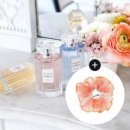 레플레르 이미지