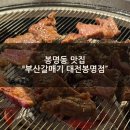 대전마늘 | [봉명동 고기맛집]“부산갈매기 대전봉명점” 매콤갈매기, 마늘갈매기살, 양념족구이 후기