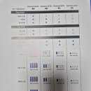 엘림독일보청기 이미지