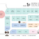 대구모다보브 이미지