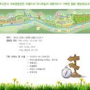 파인 오토 이미지