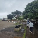 카프랜드 | 전문 기사님 가이드와 함께하는 프랜드여행사 제주도 차량투어 – 제주도 렌터카보다 편한 여행 후기