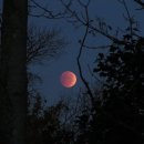 달이 떴다고 전화를 주시다니요 이미지