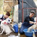 신화종합정비 이미지