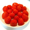 월롱농장 이미지