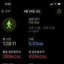 인핏퍼스널트레이닝 이미지