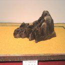 일경 이미지