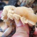 옹기꽃게장 용현점 | 도봉산 맛집 옹기 꽃게장, 등산 포기하고 더 만족한 간장게장 한상 후기