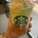 (주)코리아세븐 용인수지2호점 | 둡스 ✦ 7월 부랴부랴 일상 (1)