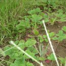 과림 낚시터 이미지