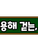 올바른 걷기 챌린지(노르딕 워킹) 이미지