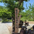 정선그림바위민박 | 정선펜션추천, 정선그림바위민박, 푸르름 가득한 고향집 감성의 정선숙소