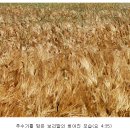 (8) 예수 공생애 3년 연대기의 난제(넉달 주추기와 三日三夜(72시간)의 의문?) 이미지