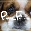 댕댕농부 이미지